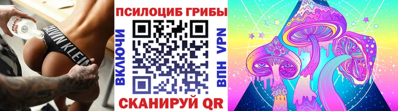 Псилоцибиновые грибы мухоморы Купить Орехово-Зуево